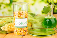 Goole biofuel availability